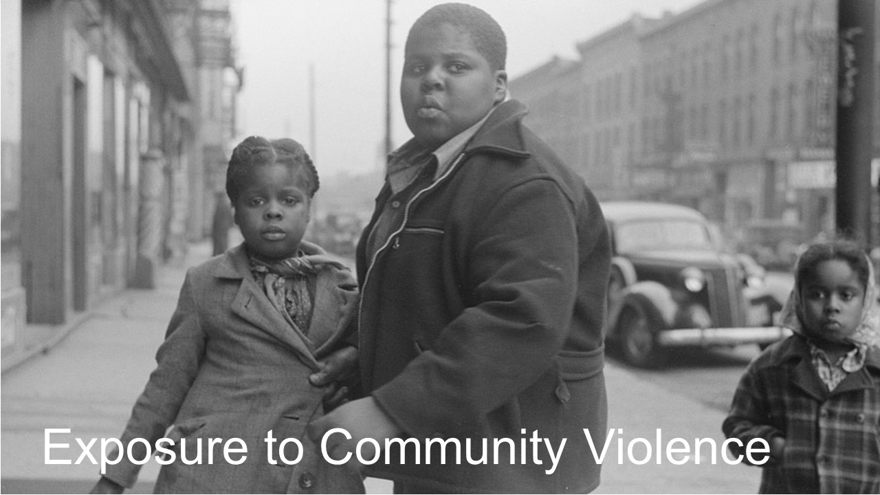 Grant Priority | Exposure to Community Violence